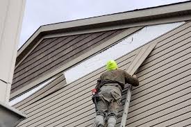 Affordable Siding Repair and Maintenance Services in Zapata, TX